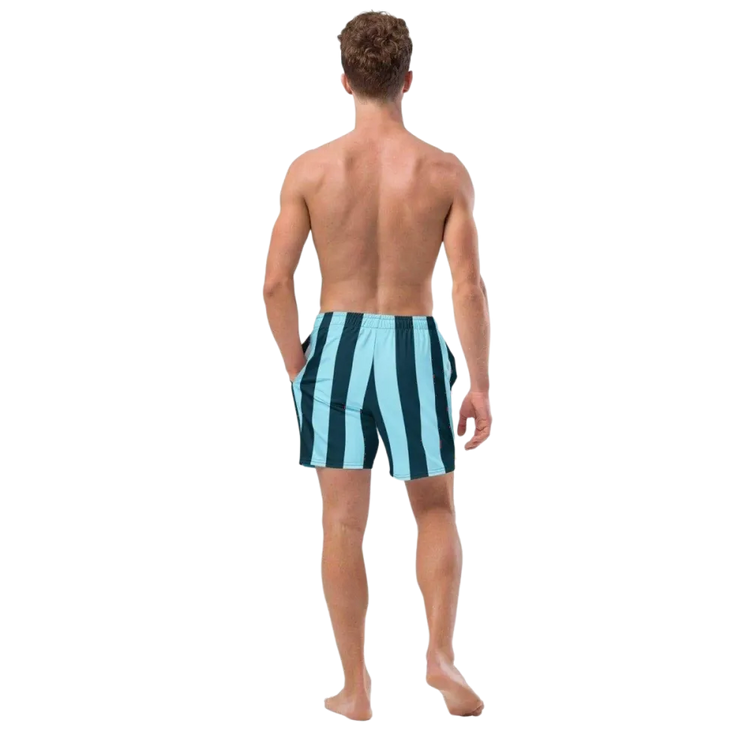 Blaue gestreifte Herren Badeshorts aus Mikrofaser mit UV-Schutz 50+ in 2XS-6XL, von BUYATHOME24.