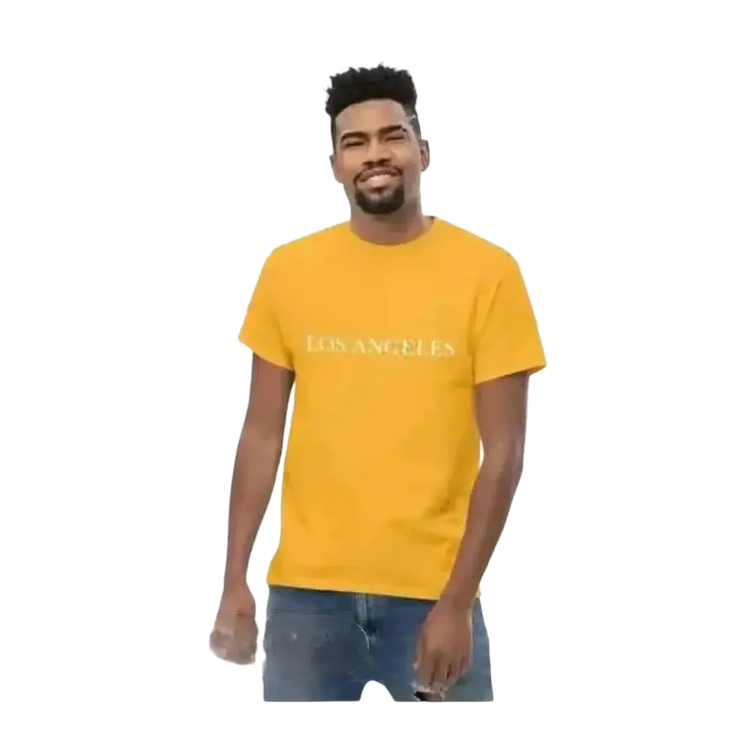 Graues Los Angeles Grafik Unisex T-Shirt aus Baumwolle, Kurzarm, in den Größen S bis 5XL, hochwertiges T-Shirt von BUYATHOME24.